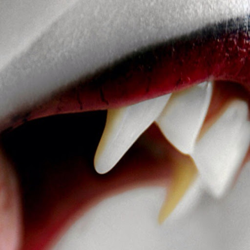 Julie Avila Photo 34