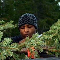 Julian Hodges Photo 8