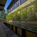 Stephen Macdonald Photo 33