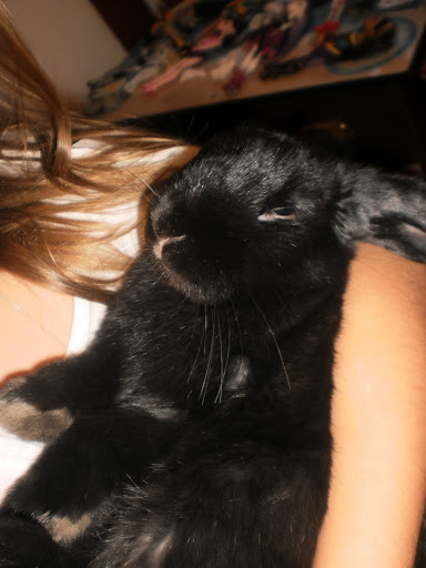 Roger Proctor Photo 31