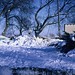 Sue Krohn Photo 5