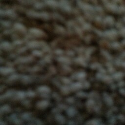 George Sharpe Photo 8 George Sharpe Photo 8