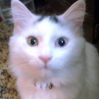 Roberta Cline Photo 13