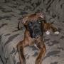 Stacie Douglas Photo 13