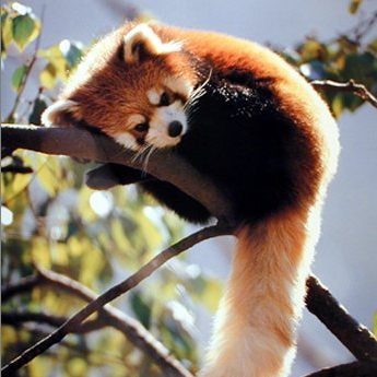 Julia Waller Photo 3