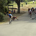 Andrew Stevenson Photo 21