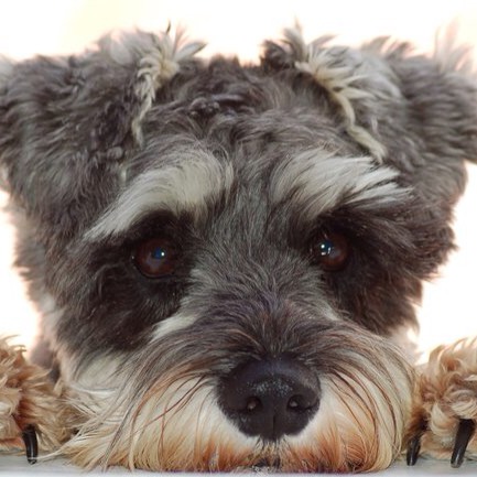 Kerry Duncan Photo 30