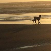 Karen Olson Photo 46