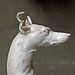 Joseph Gott Photo 13