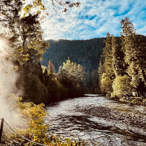 Stephanie Curtis Photo 12