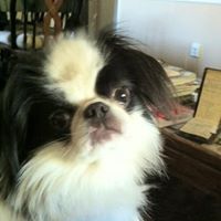 Donna Kerr Photo 4