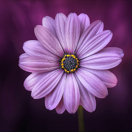 Jennifer Helm Photo 4