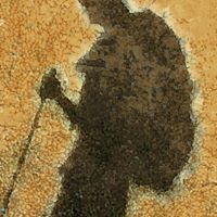 Susan Treacy Photo 18