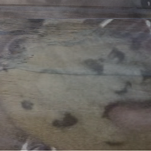 Matt Mcdaniel Photo 42