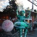 Diane Green Photo 19