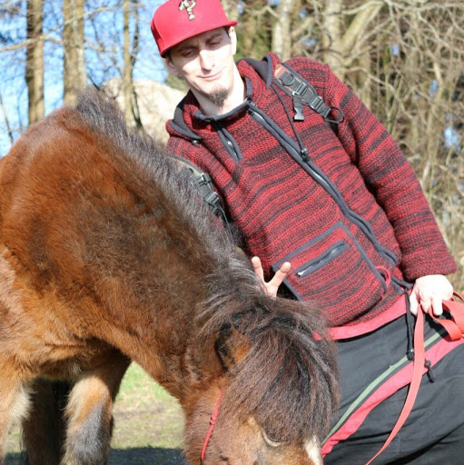 Patrick Mohr Photo 7