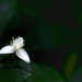 April Griffeth Photo 12