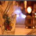 Cindy Glass Photo 12