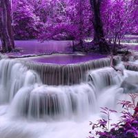 Deborah Lambert Photo 20