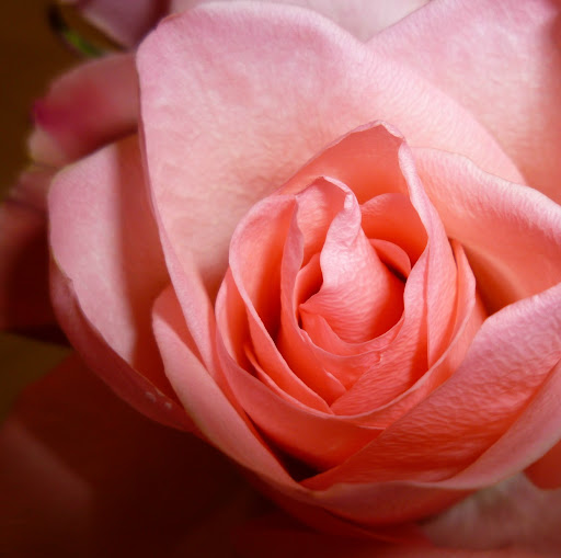 Amy Connors Photo 12