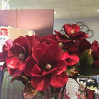 Diane Burkhart Photo 14