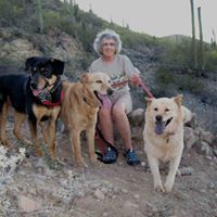 Donna Yoder Photo 21