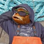 Michael Westerfield Photo 8