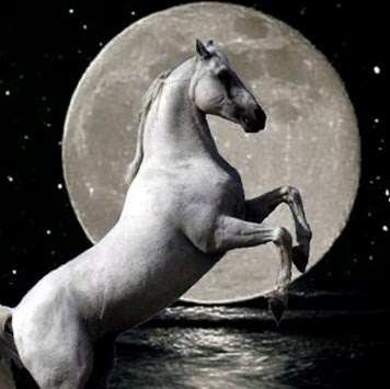 Shonda Robinson Photo 12