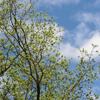 Laura Hanley Photo 5