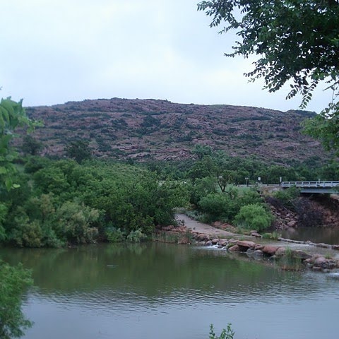 Christine Hamman Photo 4