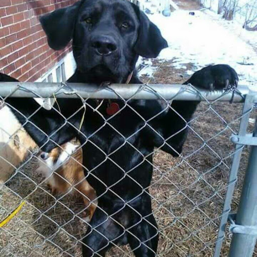 Richard Holmes Photo 43 Richard Holmes Photo 43