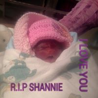 Stacey Walter Photo 12