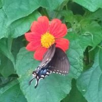 Suzanne Brewer Photo 34