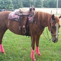 Michael Fraser Photo 40 Michael Fraser Photo 40