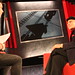 Allan Newman Photo 15