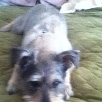 Hunter Haynes Photo 10