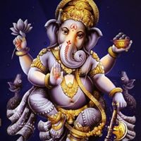 Bhupendra Patel Photo 36