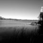 Gordon Harris Photo 32