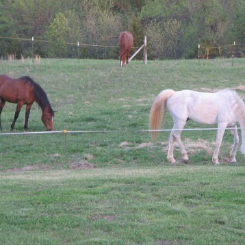 Andrea Nelson Photo 11