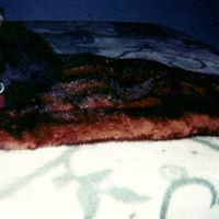 Roberta Greene Photo 12