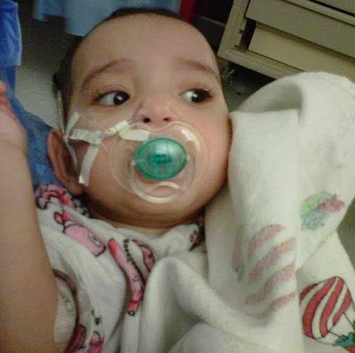 Paula Williams Photo 27