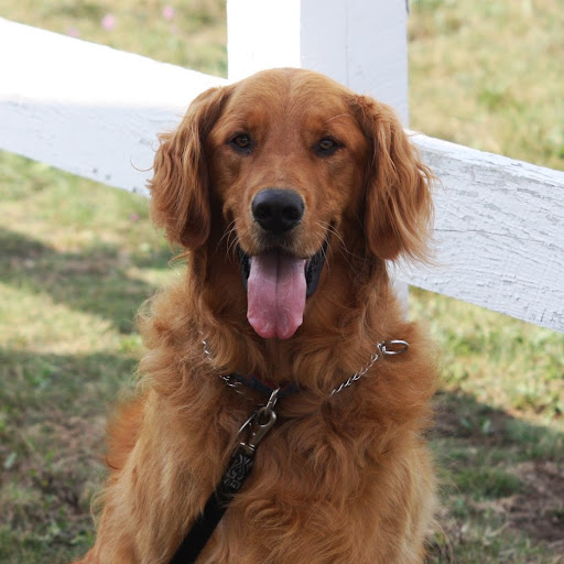 Randy Harvey Photo 37