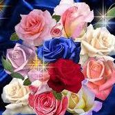 Delia Flores Photo 27