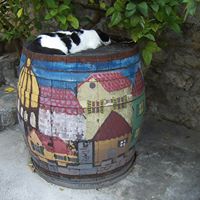 Mary Hawkes Photo 31