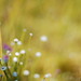 Amit Sharma Photo 22
