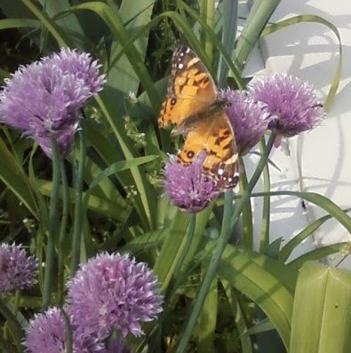 Doris Carlsen Photo 7