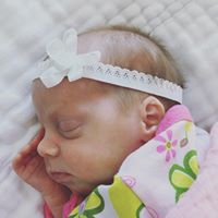 Steven Harman Photo 10