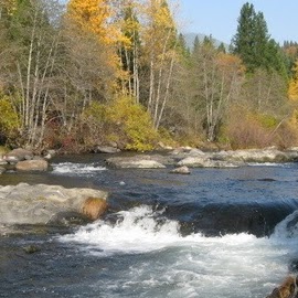 Steve Adkins Photo 12