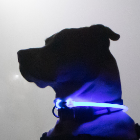 Geoffrey Simon Photo 25