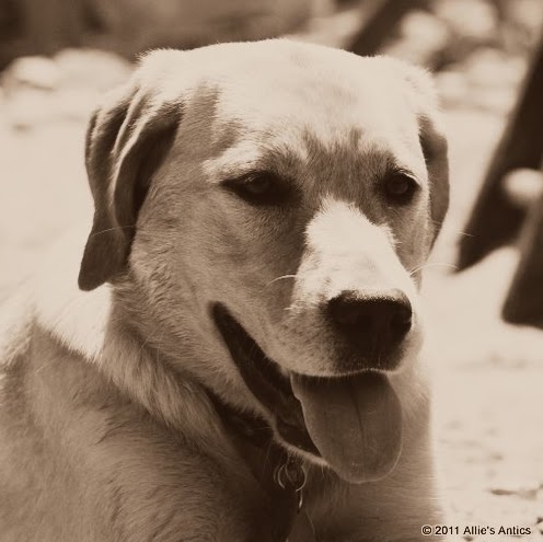 Wendy Riggs Photo 30